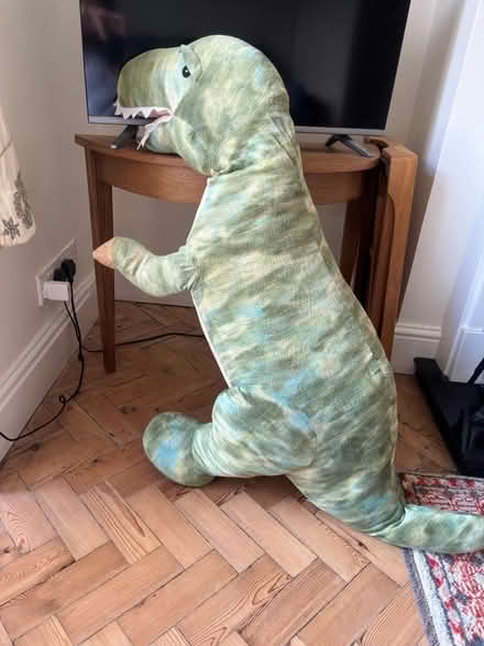 Photo of free Large cuddly stuffed dinosaur (Frankwell SY3) #3