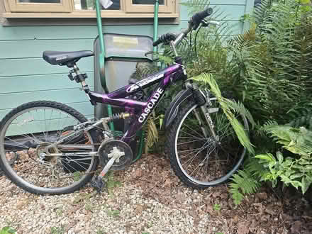 Photo of free Ladies bike- needs tlc (Wimborne BH21) #1