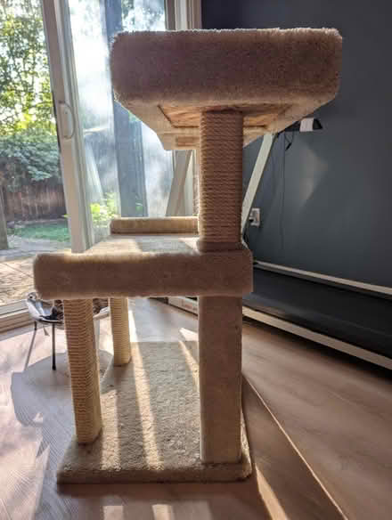 Photo of free Cat tower (1533 Templeton Pl) #2