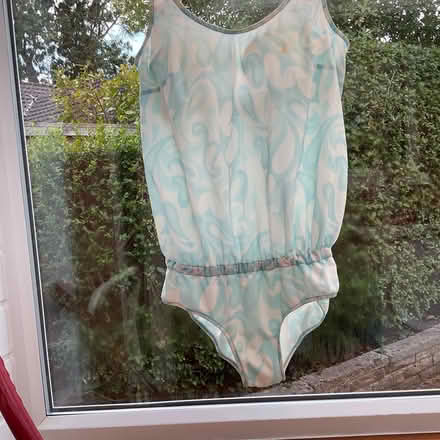 Photo of free Swimsuit (Mickleover DE3) #2