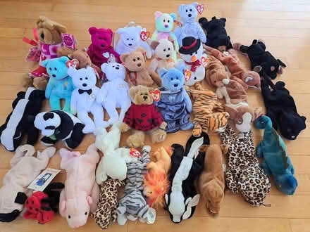 Photo of free Large selection of Beanie Babies (winnetka) #1