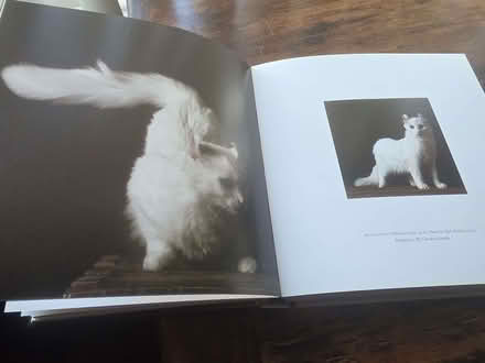 Photo of free Cat book (Upper Luton ME5) #2