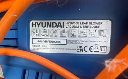 Photo of free leaf blower, vac & shredder (Portsmouth PO2) #2