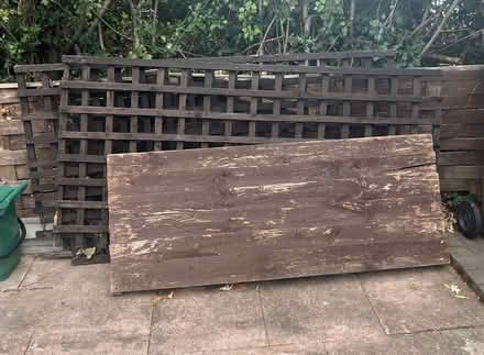 Photo of free Trellis and fence panels (Littleover - DE23) #2