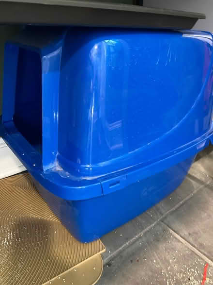 Photo of Large cat litter box + lid (Columbus) #1