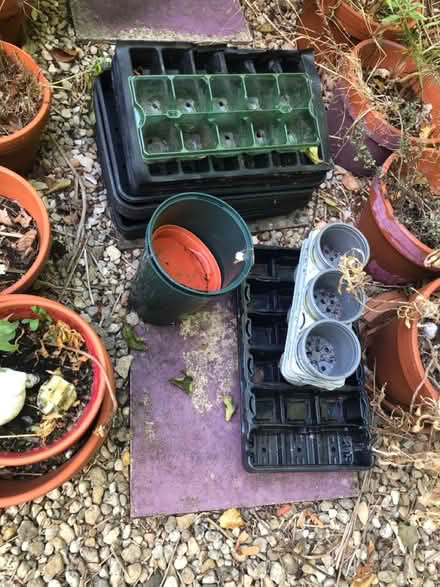Photo of free Plastic pots & seed trays (Elkstone GL53) #1