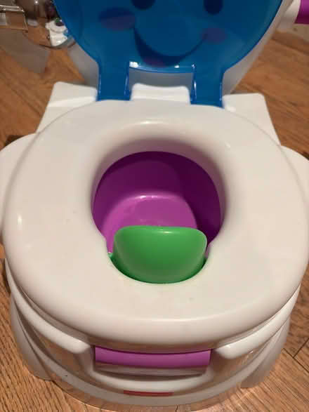 Photo of free Singing potty (Llanbadarn fawr LD1) #2