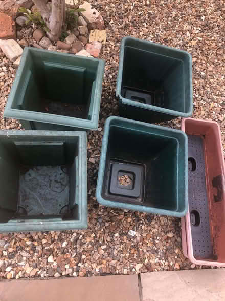 Photo of free 4 large plant pots and a window box (Ely CB6) #3