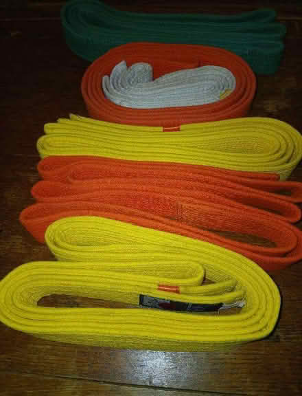 Photo of free Martial arts fabric belts (Oakwood Park Complex ME16) #1