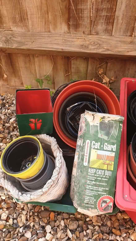 Photo of free Garden Shed clear out! (Buggs Bottom RG4) #3