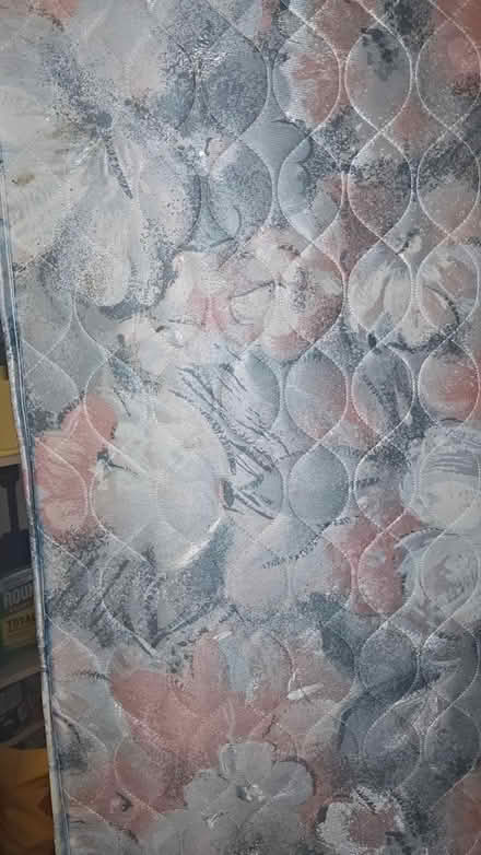 Photo of free Single bedbase (Wr65lf) #3