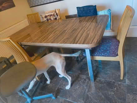 Photo of free Table and chairs (Greystones) #4
