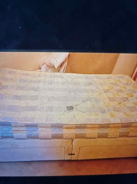 Photo of free 4ft divan bed, 4 storage drawers, with mattress (Hanover BN2) #1