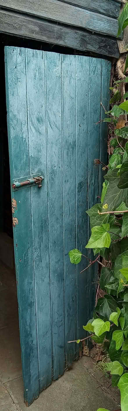 Photo of Shed door for outside (Bedford area) (Bedford Centre MK40) #1