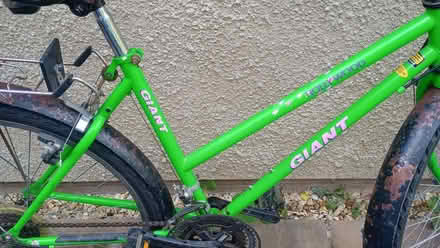 Photo of free Bicycle (Stonehouse GL10) #1