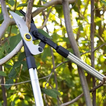 Photo of Garden Shears (OX4, Temple Cowley) #1