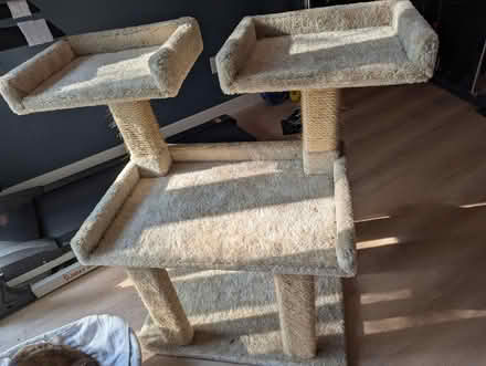 Photo of free Cat tower (1533 Templeton Pl) #1