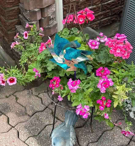 Photo of free Beautiful Flowers (Erin Mills) #1
