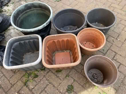 Photo of free 7 large plastic plant pots (Tunbridge Wells N. TN4) #1