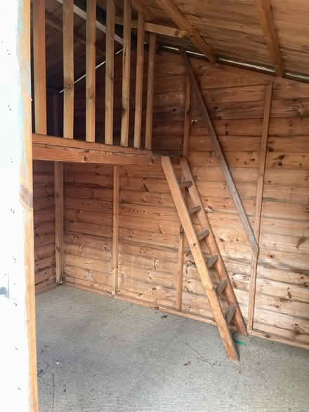 Photo of free Wendy house (Danbury CM3) #3