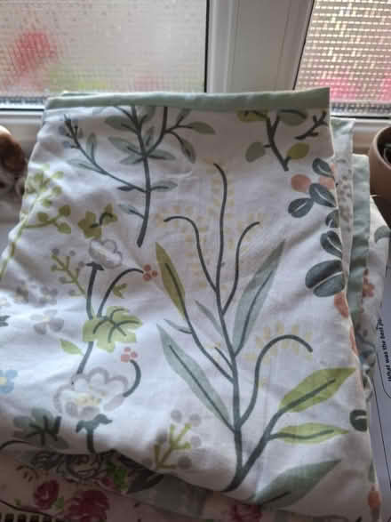 Photo of free Pillow cases (Southwark SE1) #3