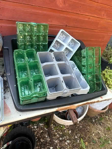 Photo of free Various seed trays and pots (Tavistock Devon) #1