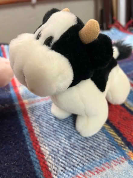 Photo of free Small fluffy cow cuddly toy (Westbrook WA5) #1