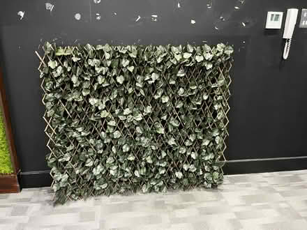 Photo of free trellis (city centre LS1) #1