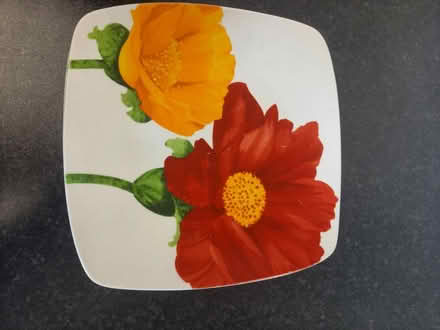 Photo of free Flowery plate set (Burngreave S4) #2