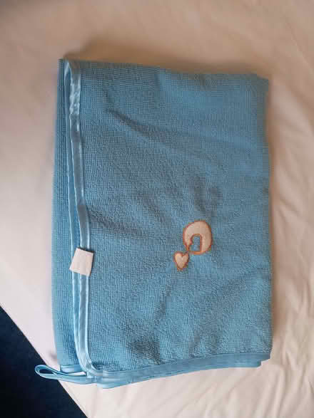 Photo of free Lightweight towel for pets (Bromham MK43) #1