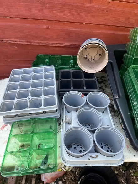 Photo of free Various seed trays and pots (Tavistock Devon) #2