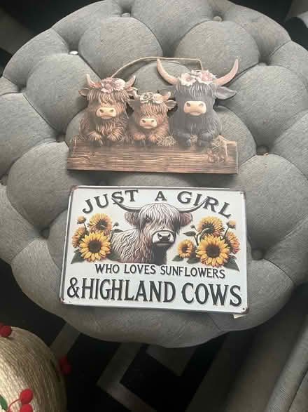 Photo of free Highland cow signs (Skerton LA1) #1