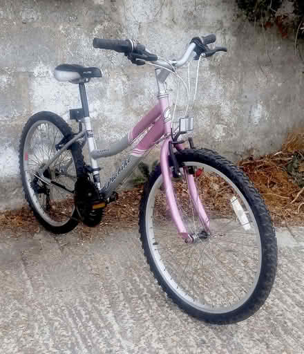 Photo of free Kids BIKE: Before you reply, please read the post (Whitehawk BN2) #2