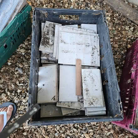Photo of free Lovely bathroom tiles (Pagham PO21) #2