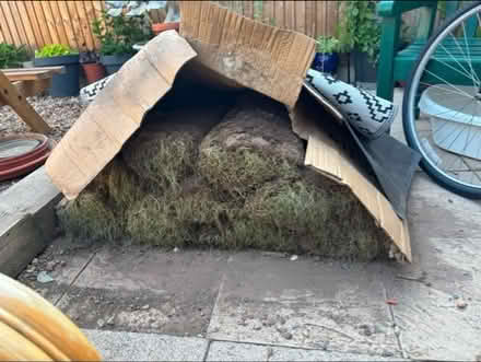 Photo of free 10 rolls of turf (Worcester Park KT4) #1
