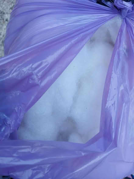 Photo of free Stuffing (Radcliffe M26) #2