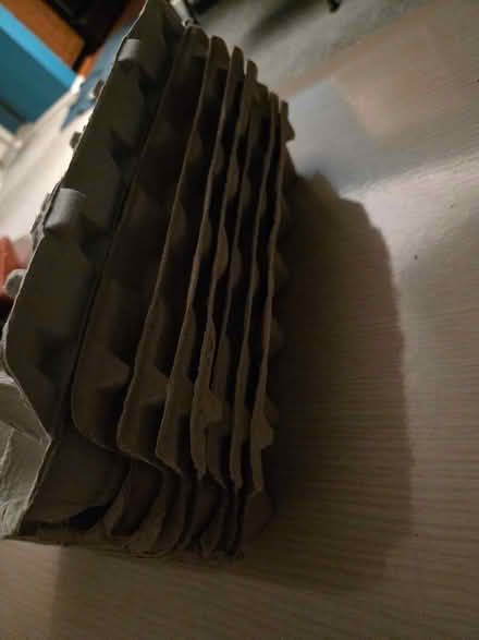 Photo of free Egg Cartons (Near Meacham & Schaumburg rds) #2