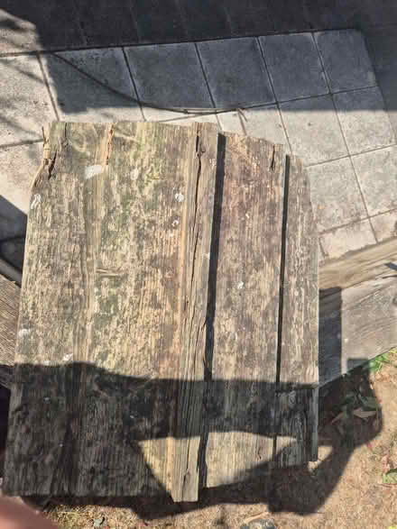 Photo of free Bird Table (Sudbury CO10) #2