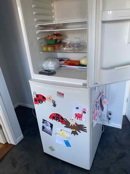 Photo of free Fridge freezer (California IP4) #3
