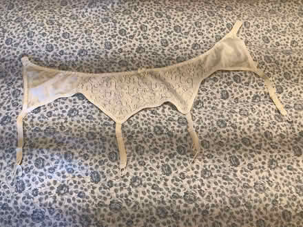 Photo of free Suspender belt (Eaton NR4) #1