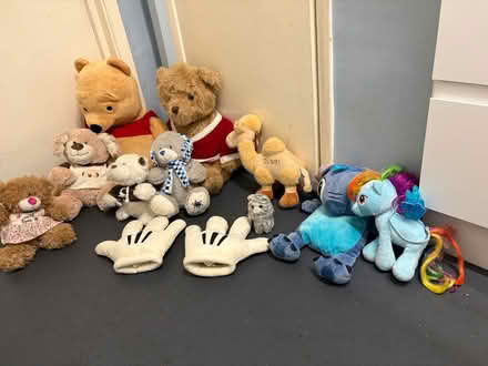 Photo of free Teddies (Hanworth TW13) #1