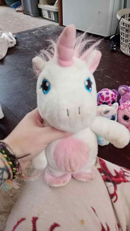 Photo of free Teddy's (NG5 9NY) #3