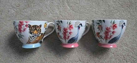 Photo of free Tea cups (BH24 Ringwood) #1