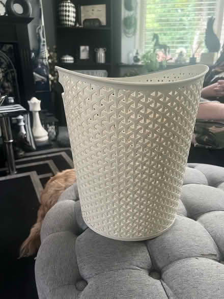 Photo of free Waste paper bin (Skerton LA1) #1