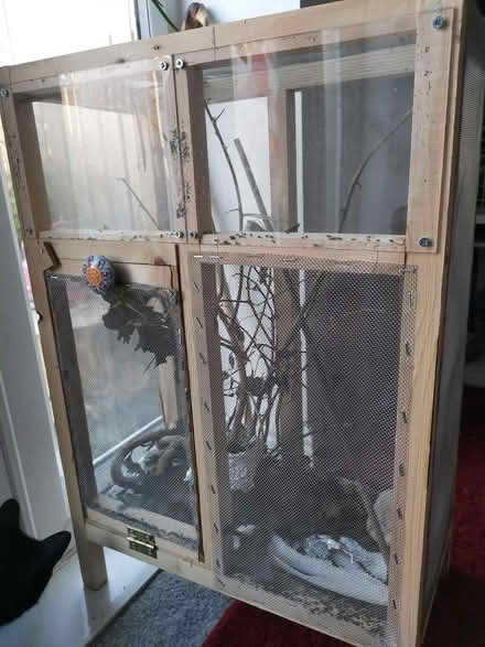 Photo of free Insect enclosure + sticks (Boroughbridge YO51) #1