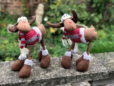 Photo of free christmas decorations (leicestershire le9 4dq) #3