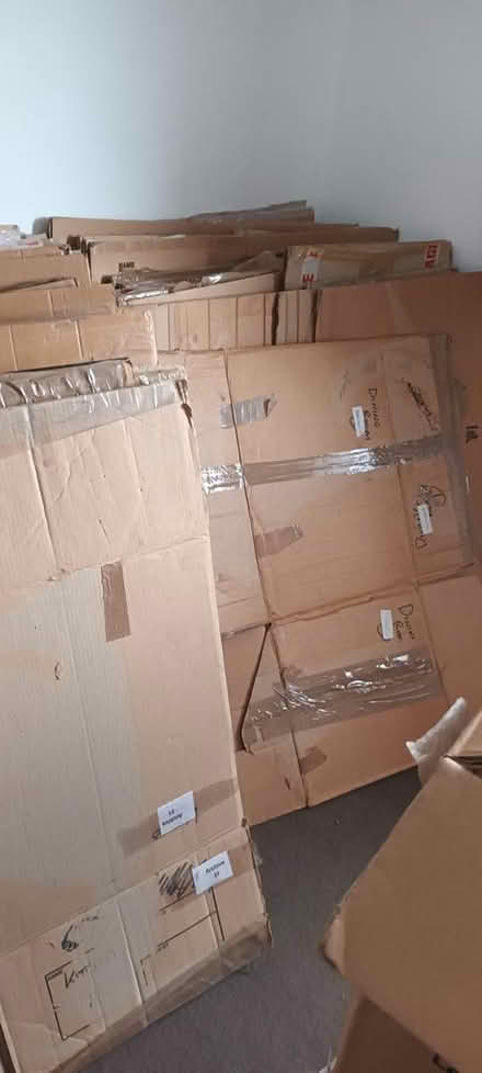 Photo of free Packing boxes and paper (Hengrove BS14) #1