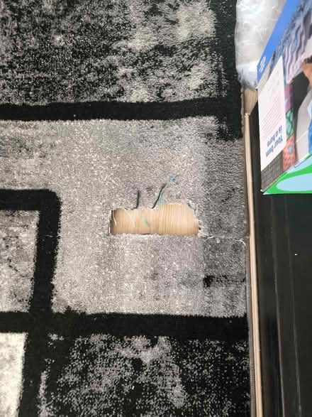 Photo of free Rug 2x 2.9m (LE6, Groby) #2