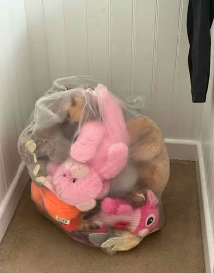 Photo of free Mixed teddies (Northwood HA6) #1