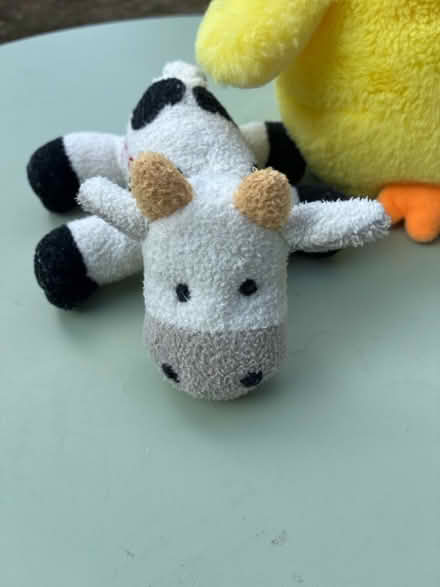 Photo of free soft toys (Thatcham RG19) #3